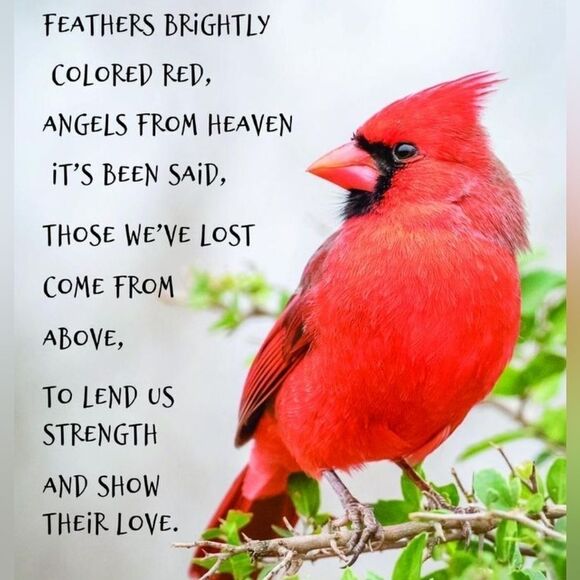 Handcrafted Beaded Cardinal Red Bird Necklace and Earrings Great Gift - Picture 12 of 13